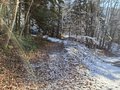 20250113_143022.jpg