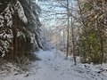 20250113_144230.jpg