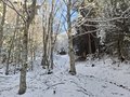 20250113_144233.jpg