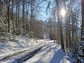 20250113_144700.jpg