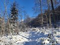 20250113_144859.jpg