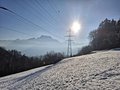 20250113_152119.jpg