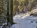 20250114_142942.jpg
