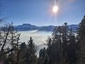 20250114_144648.jpg