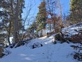 20250114_145053.jpg