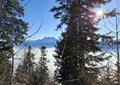 20250114_145417.jpg