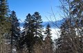 20250114_145451.jpg