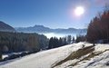 20250114_151044.jpg