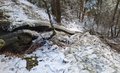 20250114_160416.jpg