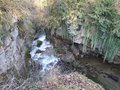 20250117_152239.jpg