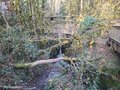 20250117_152351.jpg