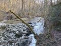 20250117_152402.jpg