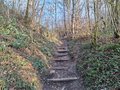 20250117_152509.jpg