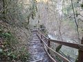 20250117_152729.jpg