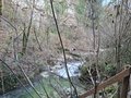 20250117_153116.jpg