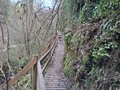 20250117_153119.jpg