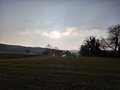 20250117_154825.jpg