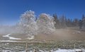 20250118_112313.jpg