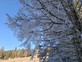 20250118_113726.jpg