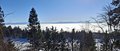 20250118_114923.jpg