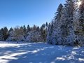 20250118_121140.jpg
