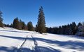 20250118_121142.jpg