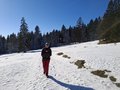 20250118_121332.jpg