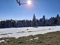 20250118_122222.jpg