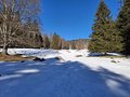 20250118_132907.jpg