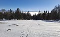 20250118_133756.jpg