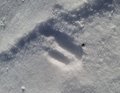 20250118_135842.jpg