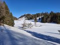 20250118_140101.jpg