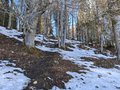 20250118_140105.jpg