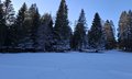 20250118_154228.jpg