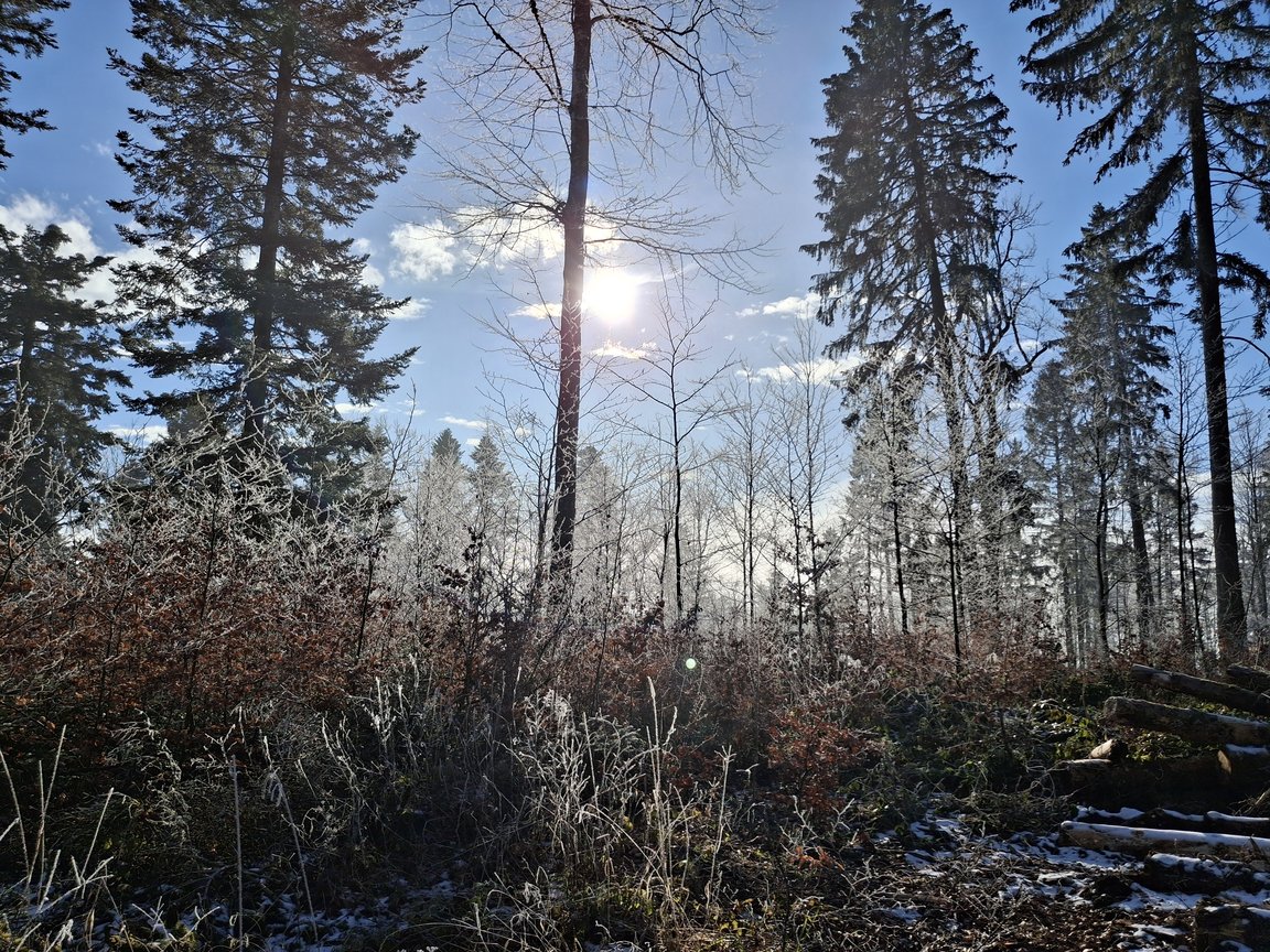 20250119_105604.jpg