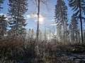 ./photos/2025/250119_-_Arruffens/thumbs/20250119_105604.jpg