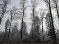 20250119_105940.jpg