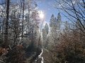 20250119_110249.jpg