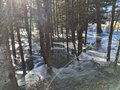 20250119_113614.jpg