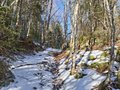 20250119_120601.jpg