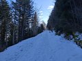 20250119_121939.jpg