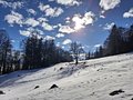 20250119_124413.jpg