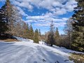 20250119_133852.jpg
