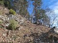 20250125_115109.jpg