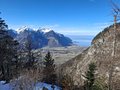 20250125_115642.jpg