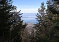 20250125_122511.jpg