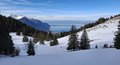20250125_123503.jpg