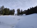 20250125_123543.jpg