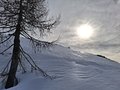 20250125_124216.jpg