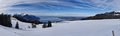 20250125_124606_-_20250125_124610.jpg